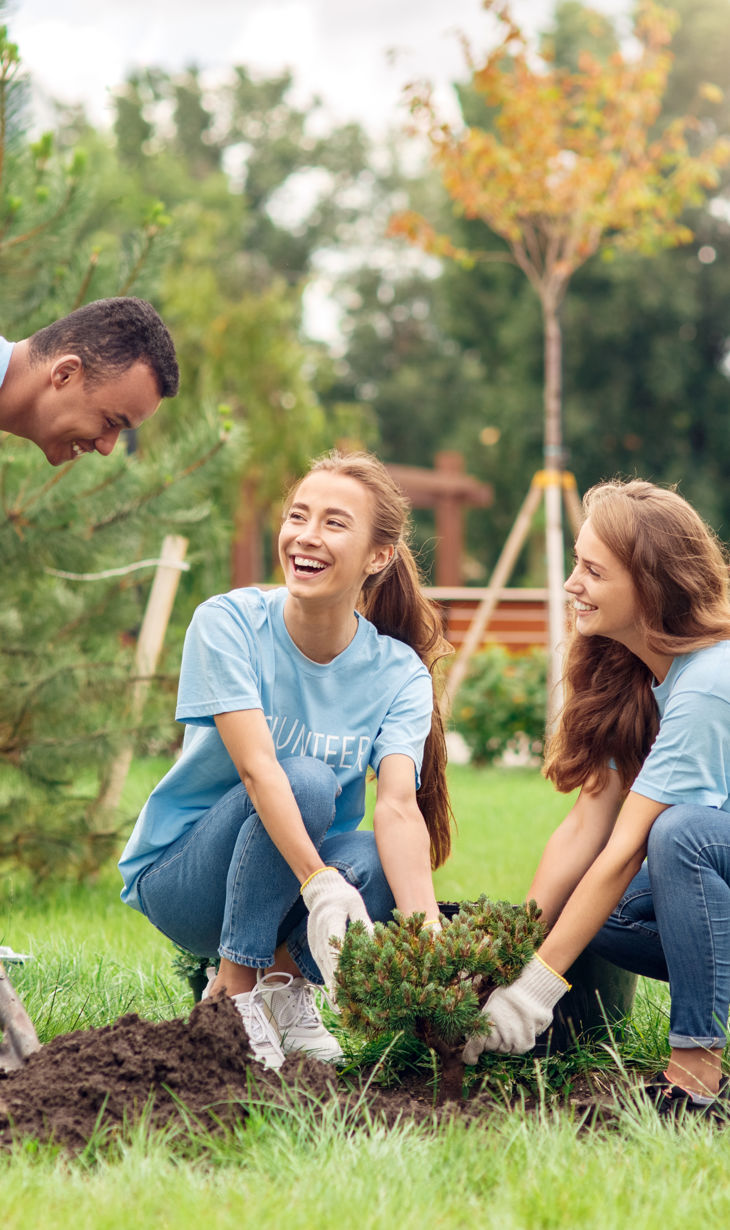 ado_people_planting_tree.jpg